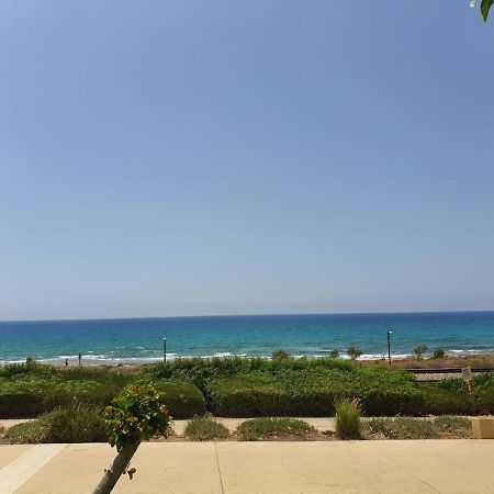 German Colony Guest House- Private And Dorm Rooms Χάιφα Εξωτερικό φωτογραφία