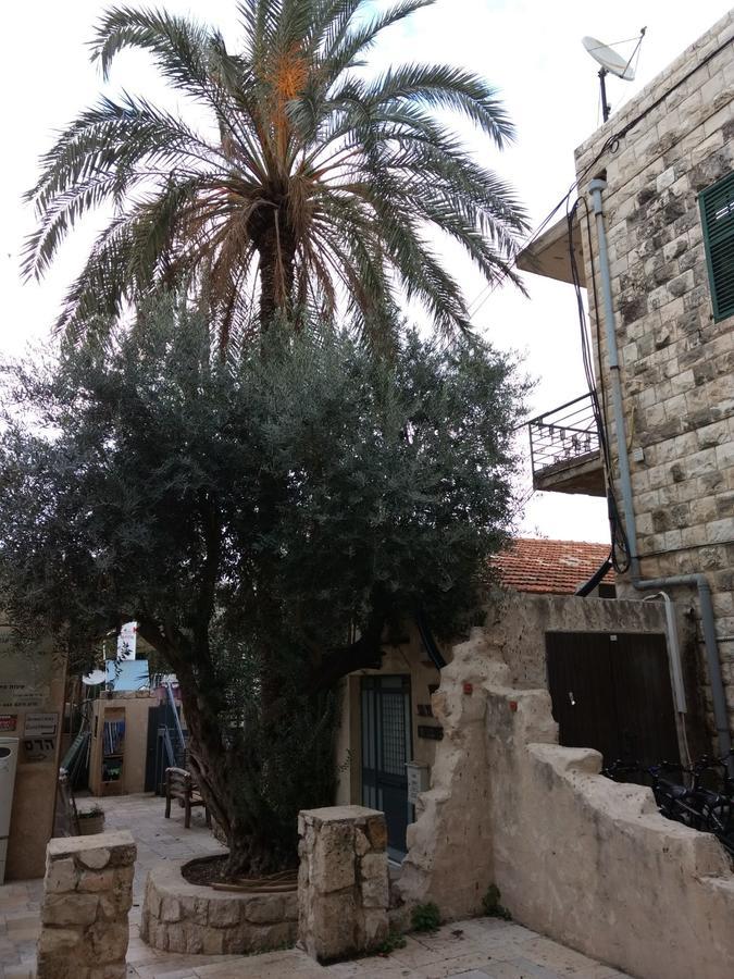 German Colony Guest House- Private And Dorm Rooms Χάιφα Εξωτερικό φωτογραφία